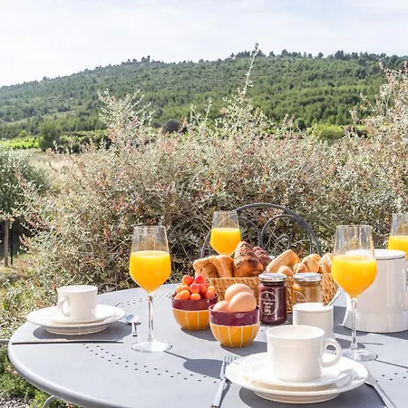 Luxurious With Private Swimming Pool Βίλα Pouzols-Minervois